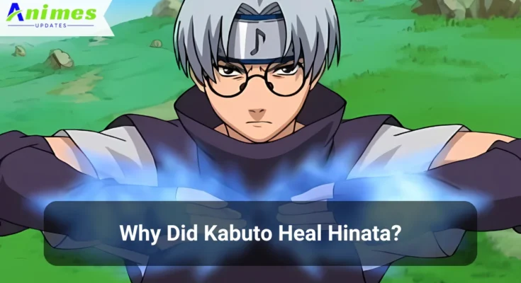 Why Did Kabuto Heal Hinata